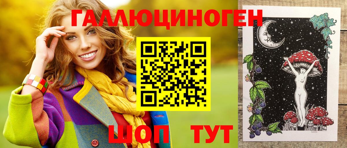 Галлюциногенные грибы Psilocybine cubensis Северобайкальск